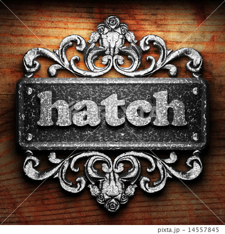 hatch word of iron on wooden background hatch word of iron on wooden background 14557845