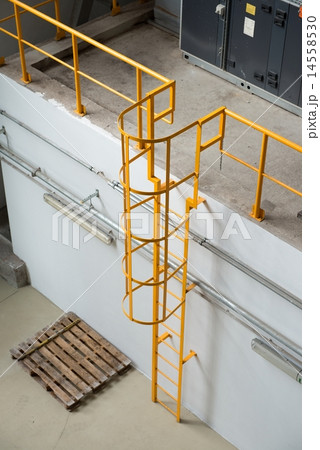 Ladder in industrial interior Ladder in industrial interior 14558530