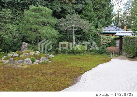 芬陀院 芬陀院 14558708