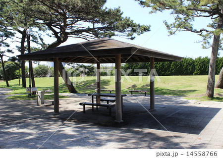 沼津港口公園のベンチ 14558766