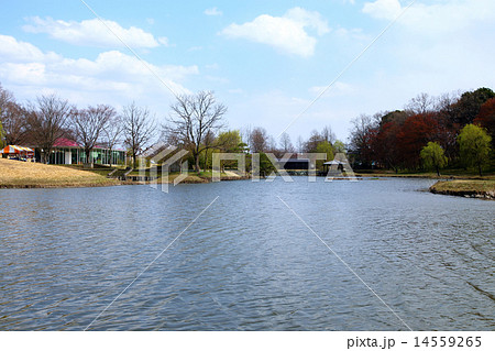 古河2 古河2 14559265