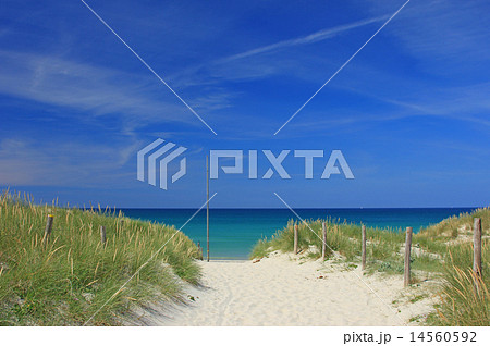Beach in Brittany, France Beach in Brittany, France 14560592
