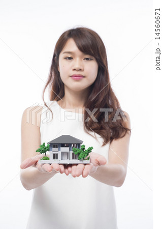 Young Adult,/Property 14560671