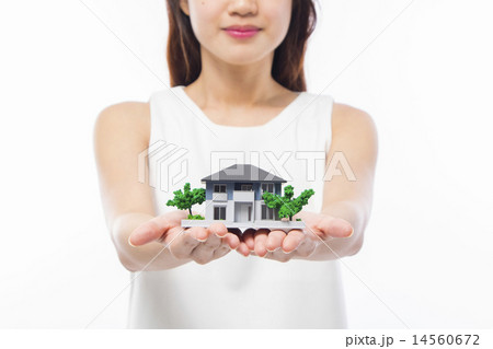 Relationship/ Property 14560672