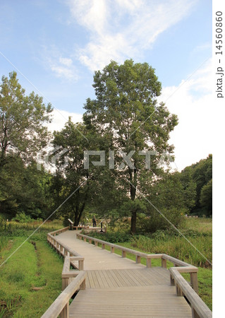 都立神代植物公園分園 都立神代植物公園分園 14560860