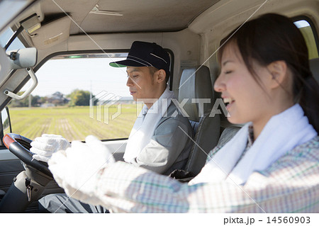 farm farm 14560903