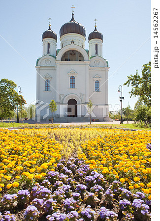 Ekaterina's cathedral. Pushkin. Petersburg. Russia 14562267