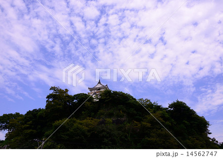 杵築城 杵築城 14562747