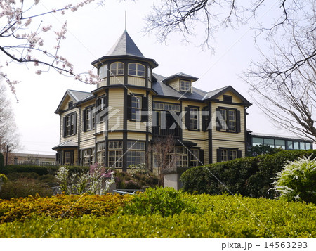 桜の季節の外交官の家 Yokohama 桜の季節の外交官の家 Yokohama 14563293