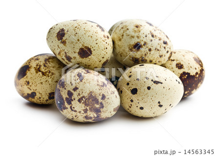 Quail eggs 14563345