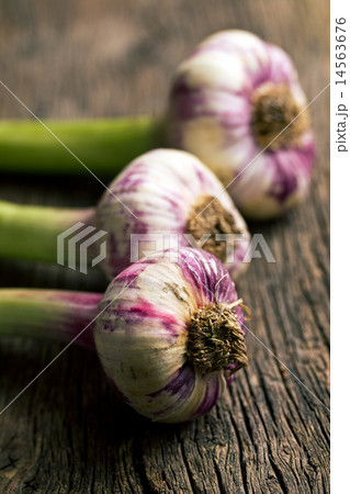 fresh garlic fresh garlic 14563676