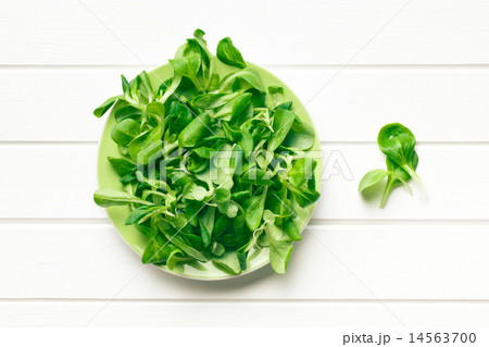 corn salad, lamb's lettuce 14563700