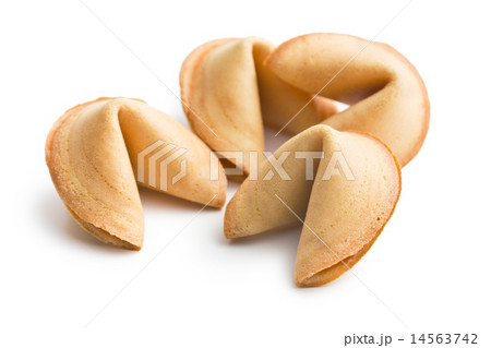 furtune cookie furtune cookie 14563742