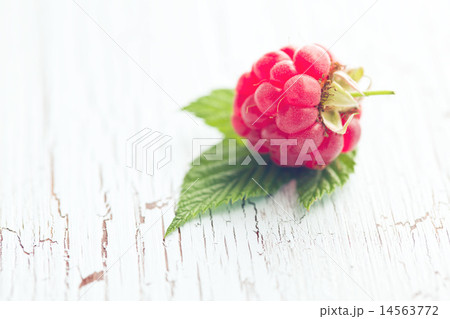 red raspberry red raspberry 14563772