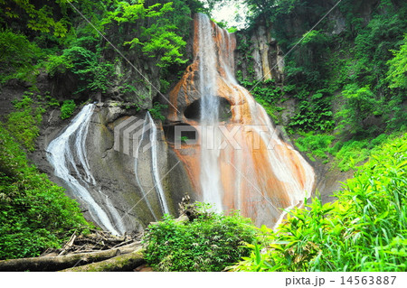 嫗仙の滝 嫗仙の滝 14563887