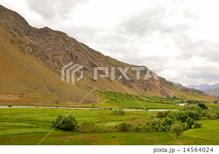 Himalaya  Mountain of Kashmil 14564024