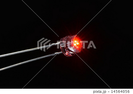 赤色発光ダイオード 14564056