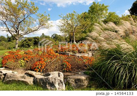Park in Hamilton Canada. 14564133