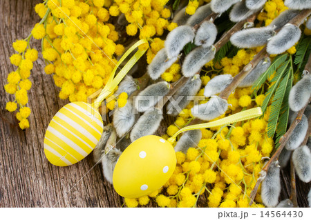 French mimosa and catkins with easter eggs 14564430