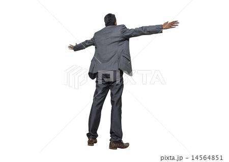 I Believe I Can Fly 14564851