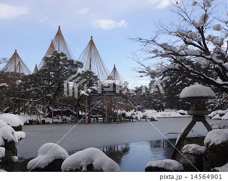 雪の兼六園 徽軫灯籠と雪吊り 石川県 金沢市 の写真素材