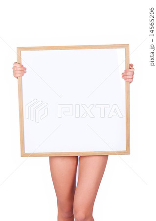 blank white board blank white board 14565206