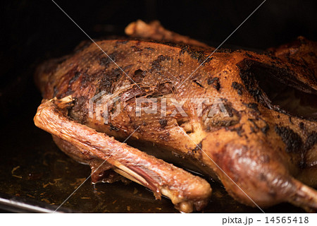 roasted goose  14565418
