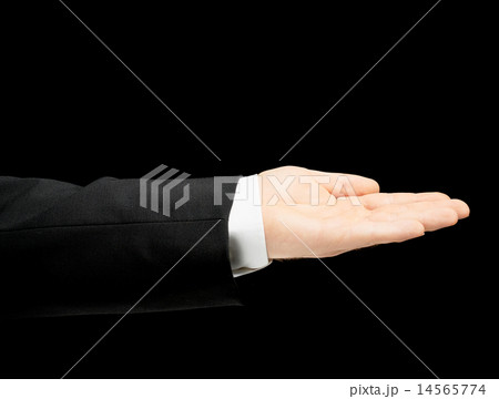 Caucasian male hand in a business suit isolated 14565774