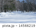 冬の奥日光 14566219