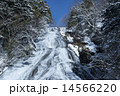 冬の奥日光（湯滝） 14566220