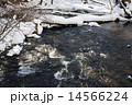 冬の奥日光（湯川） 14566224