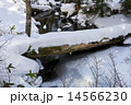 冬の奥日光（湯川の支流） 14566230