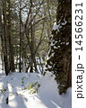 冬の奥日光 14566231