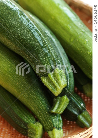 とれたてズッキーニ 14566340