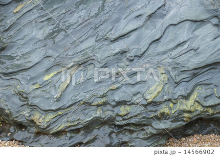 伊予青石 14566902