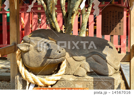 塩竃散歩:なで牛 鹽竃神社 塩竃散歩:なで牛 鹽竃神社 14567016