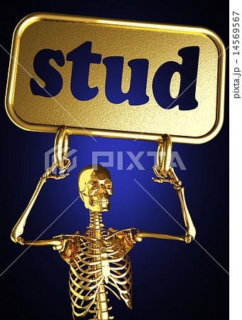 stud word and golden skeleton stud word and golden skeleton 14569567
