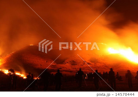 夜の野焼き 夜の野焼き 14570444