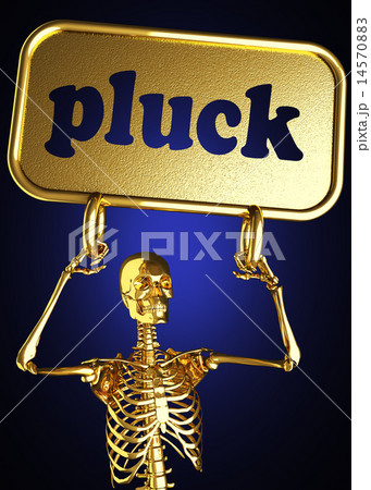 pluck word and golden skeleton 14570883