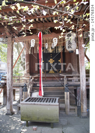 安井神社 14576834