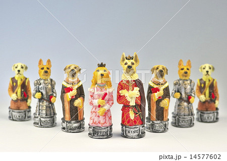 チェス駒 14577602