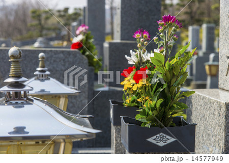 仏花と霊園 14577949
