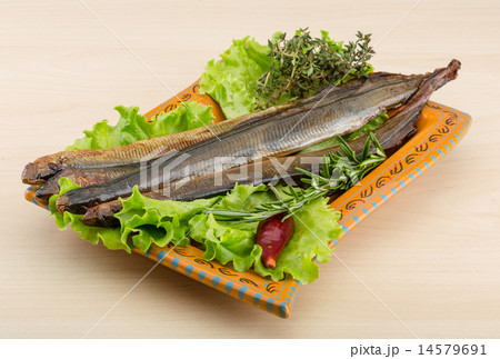 Lamprey 14579691