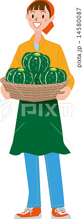 収穫 かぼちゃのイラスト素材