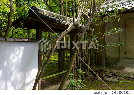 蓮華寺の新緑 14580106