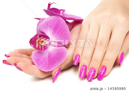 manicure with orchid flower. isolated 14580980