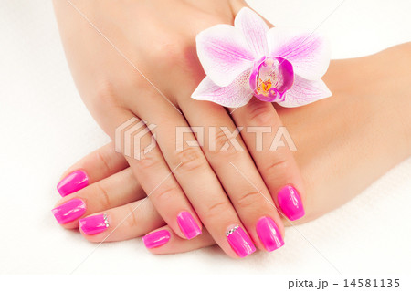 manicure with orchid flower. isolated 14581135