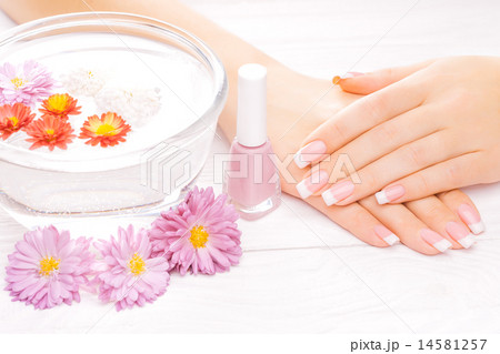 french manicure with colorful chrysanthemum french manicure with colorful chrysanthemum 14581257
