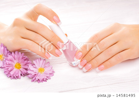 beautiful french manicure on white beautiful french manicure on white 14581495