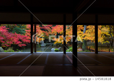 蓮華寺の紅葉 14581818